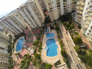 3+1 Toros 8 Paradise